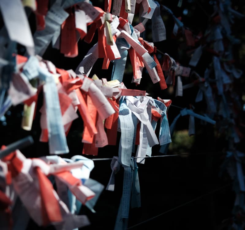 A picture from a trip to Japan